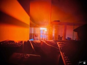 Photography ~ The Loft