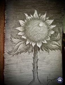 writing my thoughts without any direction whatsoever, other than thinking I was writing a new poem, which turned into sort of a haiku all on its own, with no real beat count or rythme. And as I’m writing, I begin to see an image of a sunflower that is in a way, shrugging. not feeling like drawing that from nothing, I decided to give this digital rendering of an image through prompts a try. Not to use as original art, for the life of me, I do not believe I will ever come to the acceptance that that process can be claimed as original art, especially never as professional design. That being said, I wanted to have my idea come from the visions I had, so I typed in the prompt, let it do its thing, and then drew from that in a new sketchbook. wrote the haiku on the second page & drew the sketch on the first page, from looking at the digitally rendered image & honestly, i felt pretty decent about that entire experience. I was able to utilize the current digital rendering as a visual to create a new pencil sketch that is truly from my own hand. reminded me of the days, spending my mornings at the Philly library, taking out a folder of photos for reference for an illustration project & renting them like books. The process seemed very familiar and made sense.