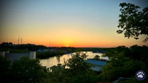 Random photos by Ted Houser from TBSDesigns