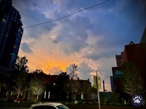Random photos by Ted Houser from TBSDesigns