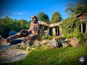 Random photos by Ted Houser from TBSDesigns