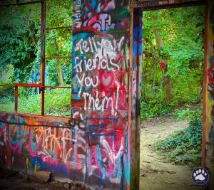 Random photos by Ted Houser from TBSDesigns