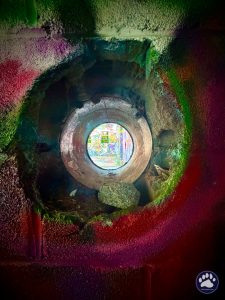 Random photos by Ted Houser from TBSDesigns