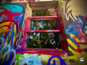 Random photos by Ted Houser from TBSDesigns