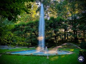 Random photos by Ted Houser from TBSDesigns