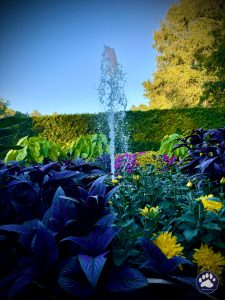 Random photos by Ted Houser from TBSDesigns