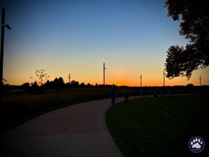 Random photos by Ted Houser from TBSDesigns
