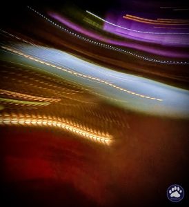 Random photos by Ted Houser from TBSDesigns